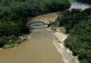 Governo de Minas abre consulta pública para gestão compartilhada do Parque Estadual do Rio Doce