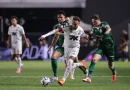 Palmeiras perde para Santos e vê Flamengo assumir a liderança do Brasileirão